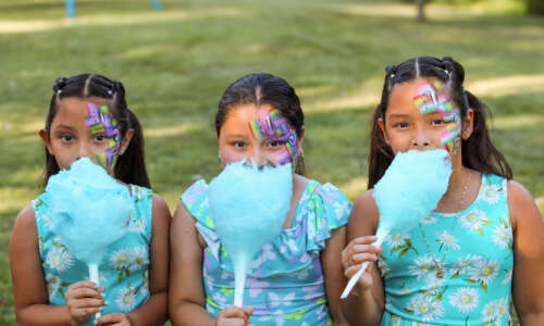 NE picnic-065 NE picnic-065